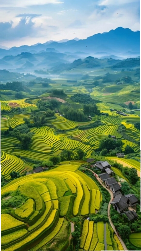 Hình nền ruộng bậc thang xanh mướt
