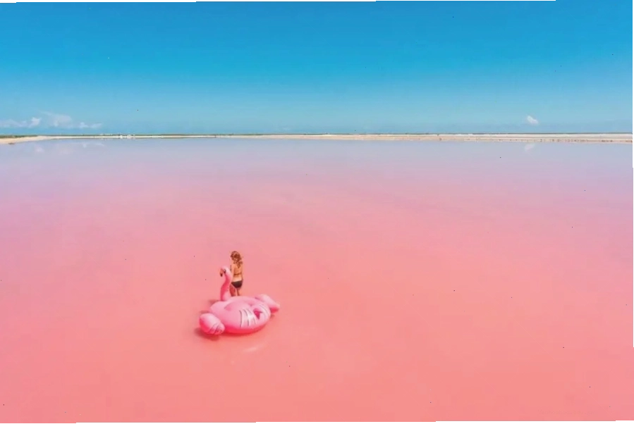 Hồ Las Coloradas Mexico với màu hồng rực rỡ