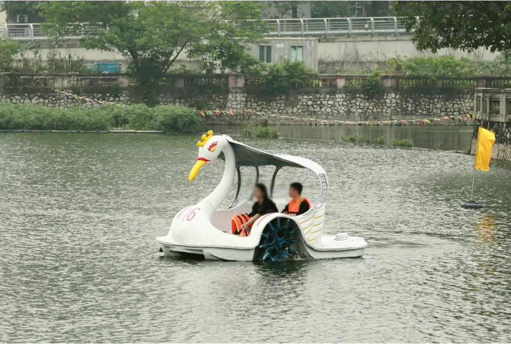 Hoạt động đạp vịt trên Hồ Tây