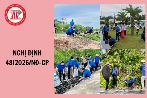 Khu rừng xanh tươi là môi trường sống quan trọng