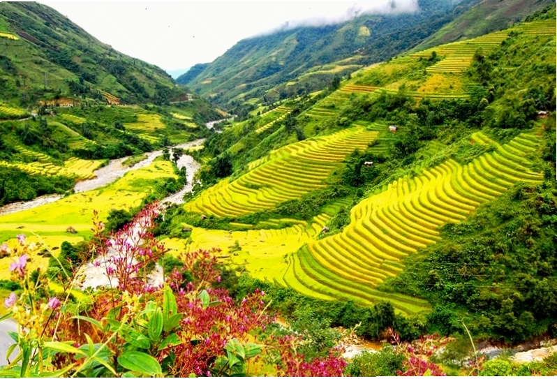 Khung cảnh làng quê yên bình với những mái nhà ngói đỏ đặc trưng.