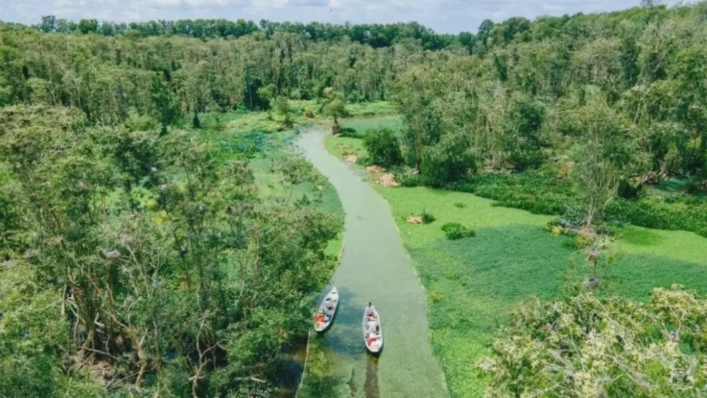 Khung cảnh yên bình bên trong rừng tràm Trà Sư