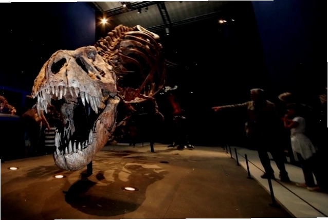 Khủng long bạo chúa Tyrannosaurus Rex - một trong những loài khủng long nổi tiếng nhất