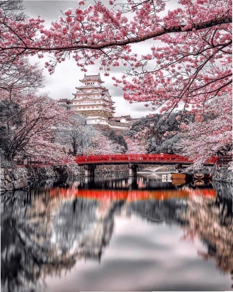 Làng cổ Shirakawa-go với những ngôi nhà mái tranh đặc trưng