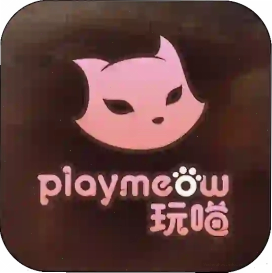 Lưu ý quan trọng khi trải nghiệm game Playmeow