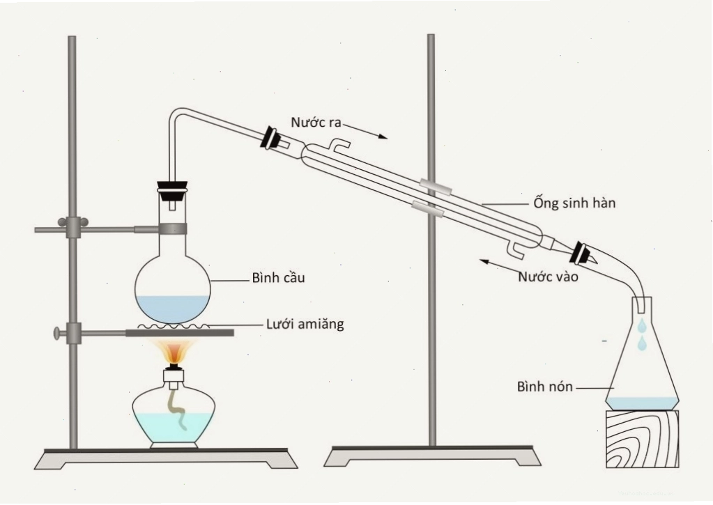 Minh họa cơ chế phản ứng este hóa giữa axit axetic và etanol