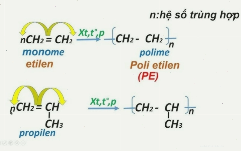 Minh họa cơ chế phản ứng trùng hợp