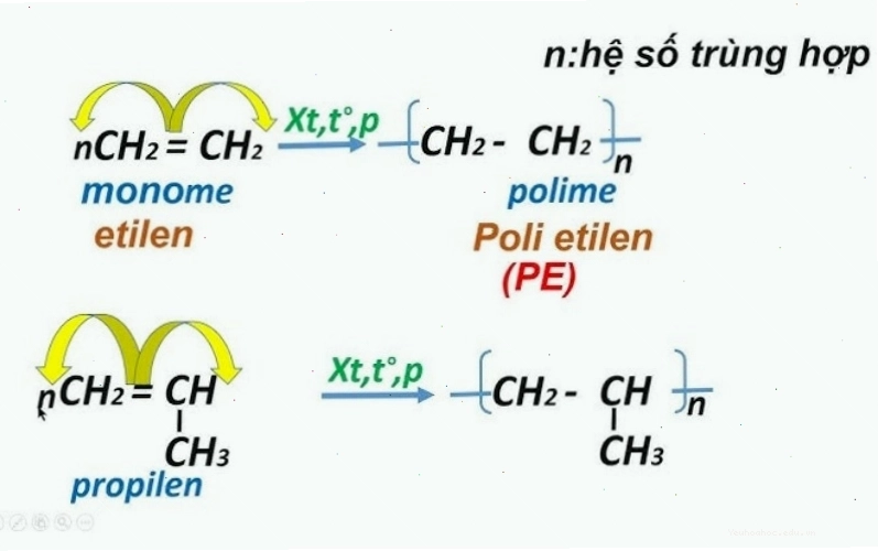 Minh họa cơ chế phản ứng trùng hợp tạo polymer