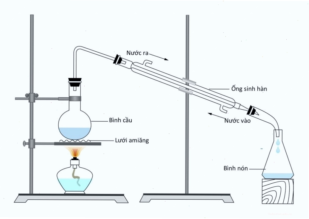 Minh họa phản ứng este hóa giữa axit axetic và etanol