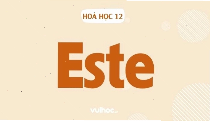 Minh họa phản ứng thủy phân của este