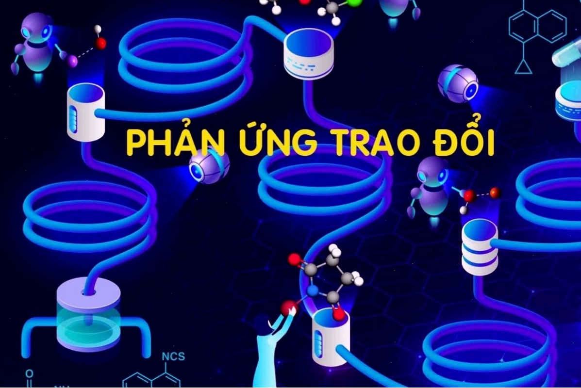 Minh họa phản ứng trao đổi ion