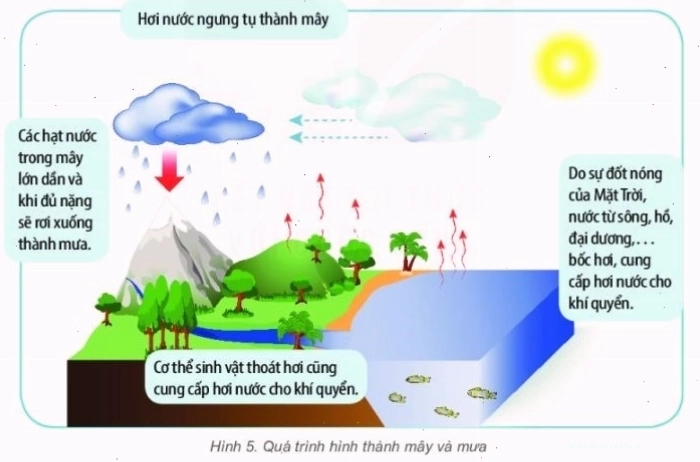 Minh họa quá trình hình thành mưa