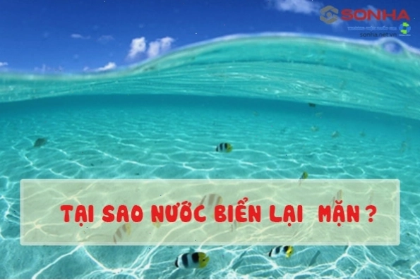 Minh họa quá trình muối từ đất đá hòa tan vào nước sông rồi chảy ra biển