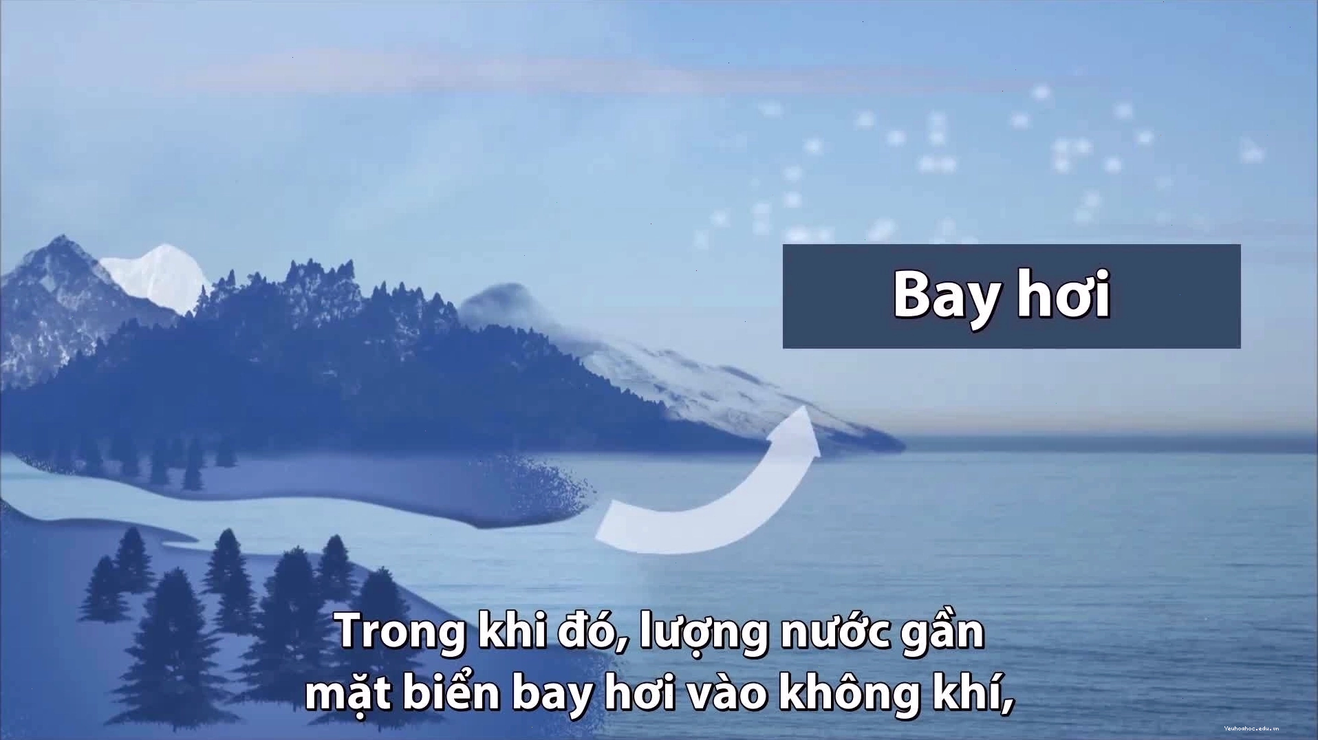 Minh họa quá trình nước sông mang theo khoáng chất ra biển