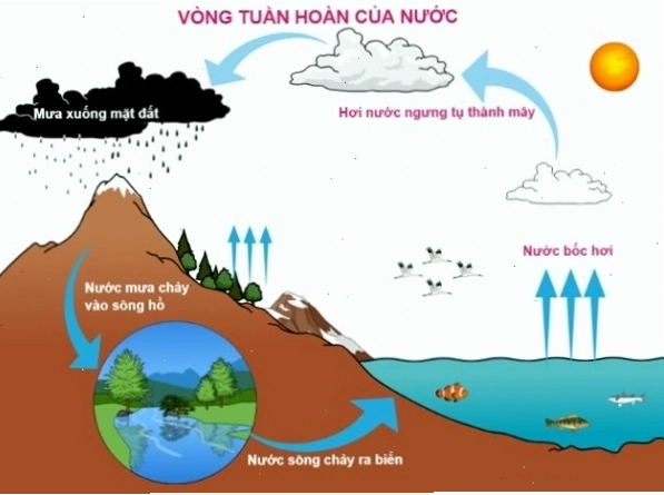 Mối liên hệ giữa độ ẩm và sự ngưng tụ hơi nước