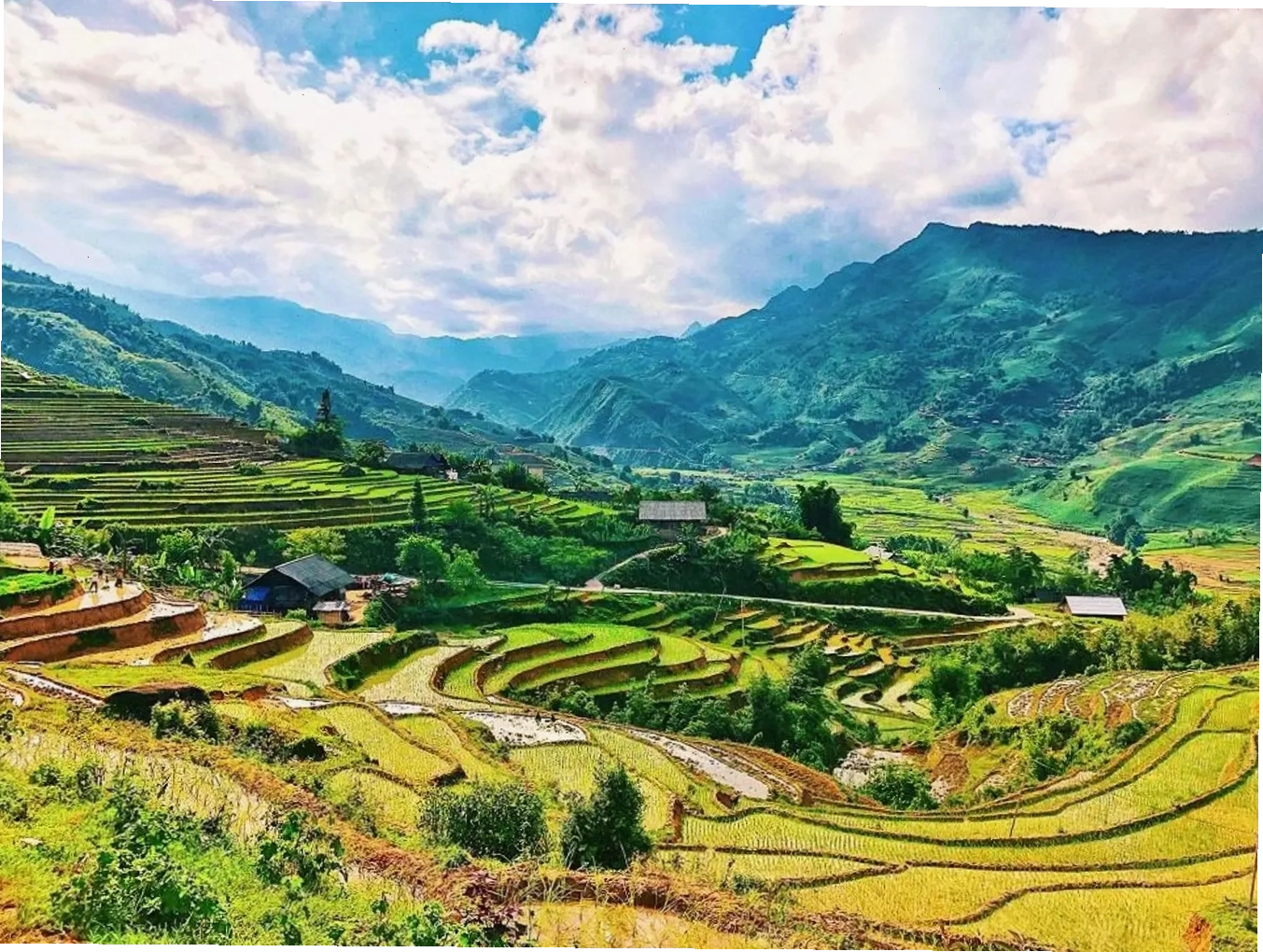 Những thửa ruộng bậc thang xanh mướt trải dài tại thung lũng Mường Hoa