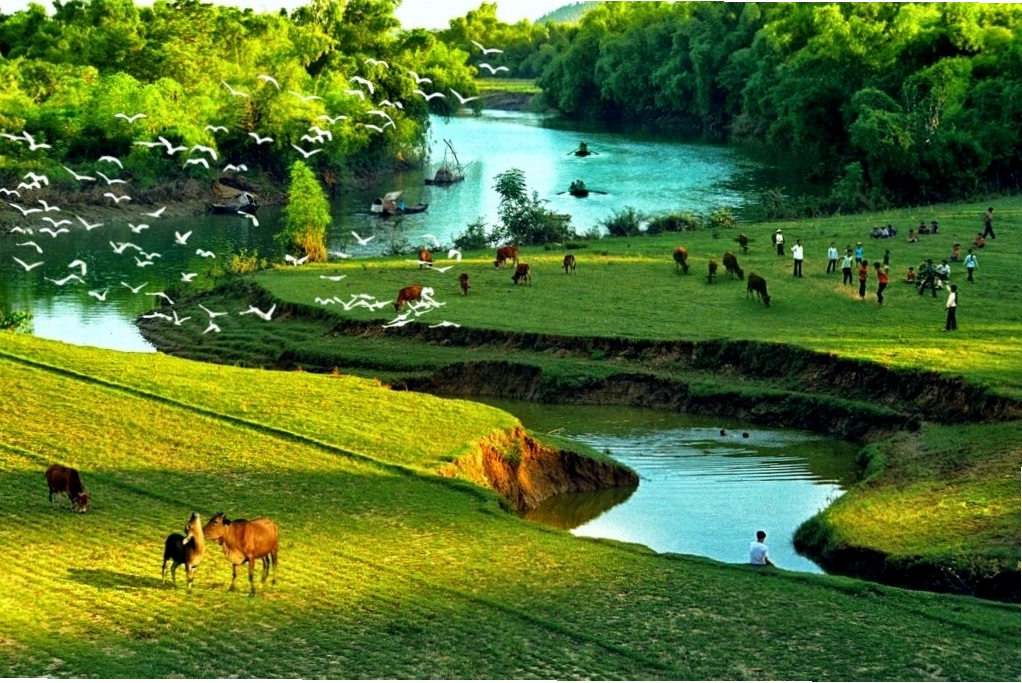 Những vườn cây trái sum suê, trĩu quả tại miền Tây Nam Bộ.