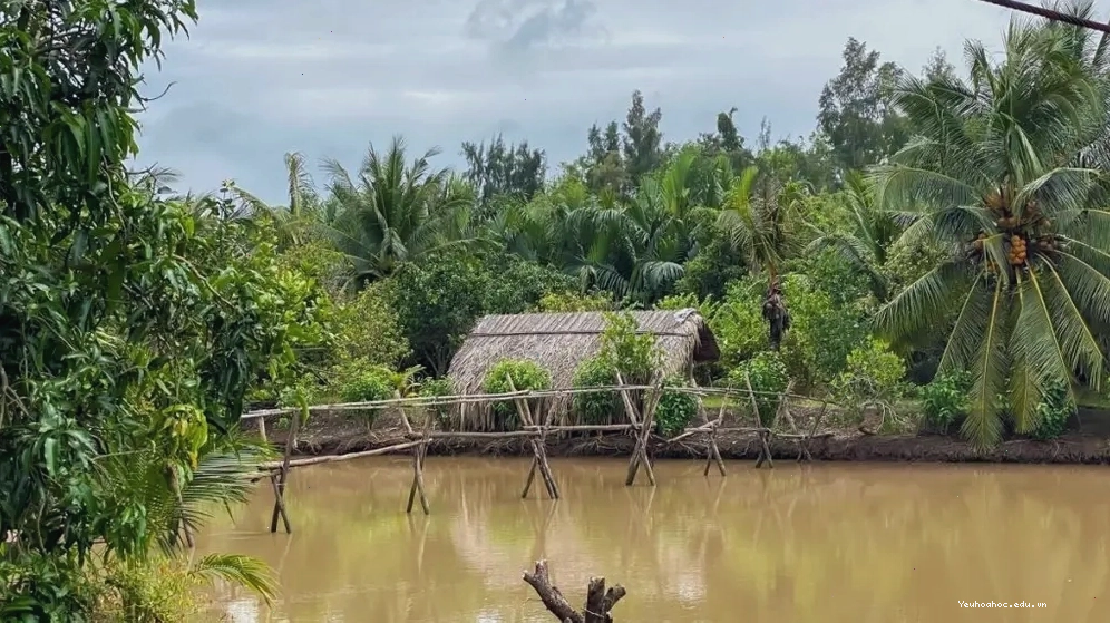 Nông trại du lịch Sân Chim Vàm Hồ Bến Tre