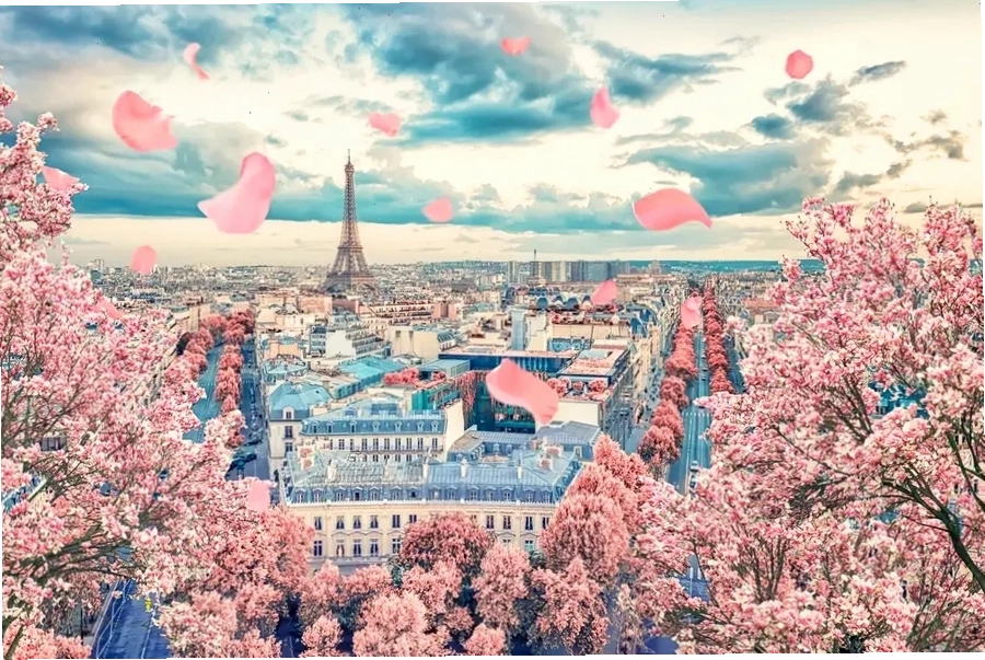 Paris lãng mạn với hoa mùa xuân