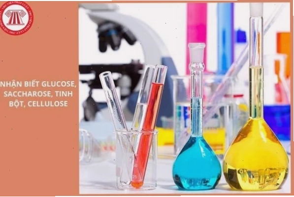 Phân biệt các loại đường và carbohydrate