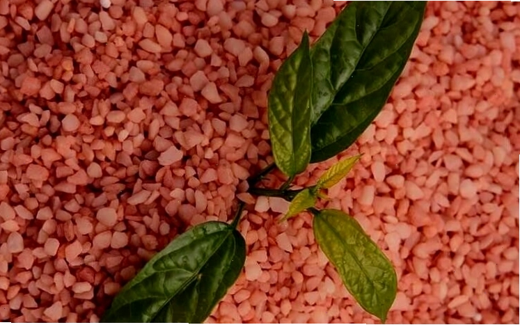Phân bón Kali ứng dụng của Kali