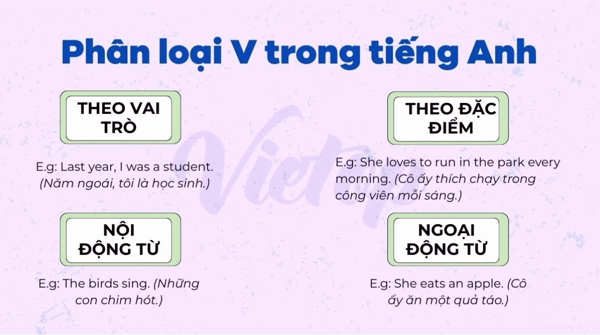 Phân loại V trong tiếng Anh