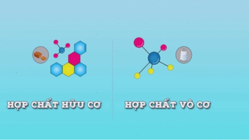 Phân tử Hydrocacbon đơn giản