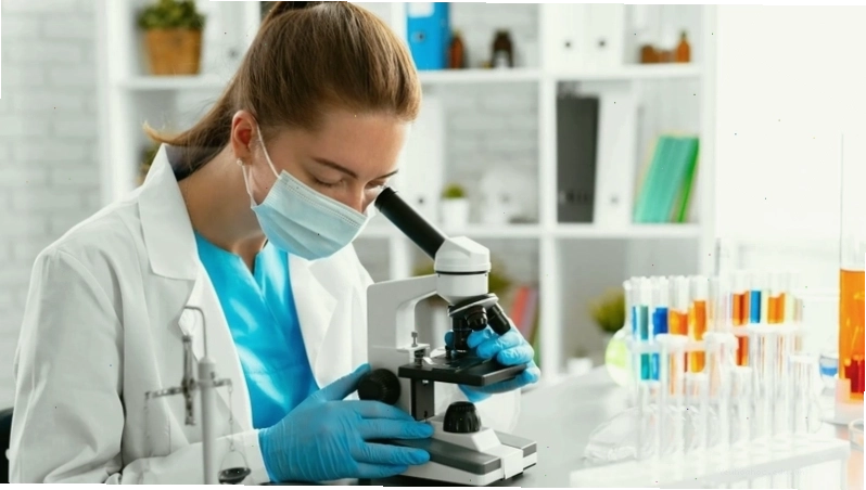 Phòng lab y tế thực hiện các xét nghiệm quan trọng