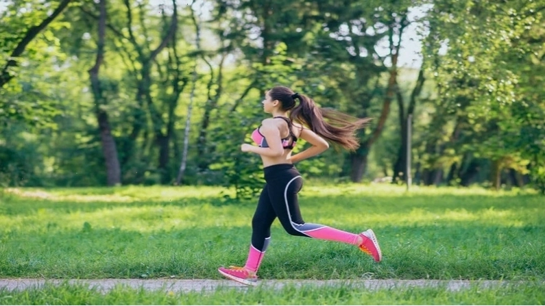 Quá trình dị hóa cung cấp năng lượng và nguyên liệu