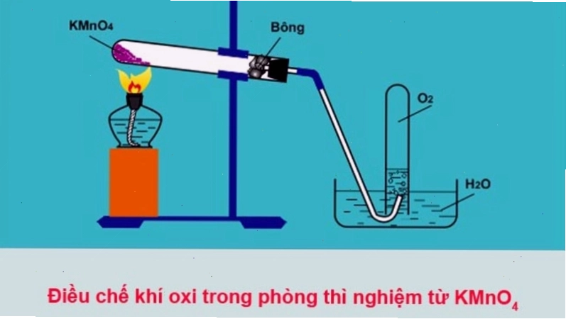 Quá trình trao đổi khí Oxy và Carbon Dioxide trong phổi người