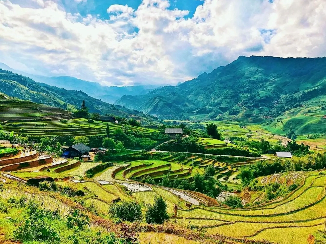 Ruộng bậc thang Mường Hoa Sa Pa mùa lúa chín