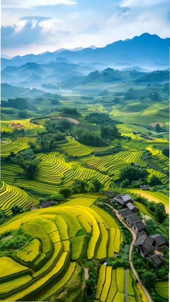 Ruộng bậc thang xanh mướt giữa núi rừng trùng điệp