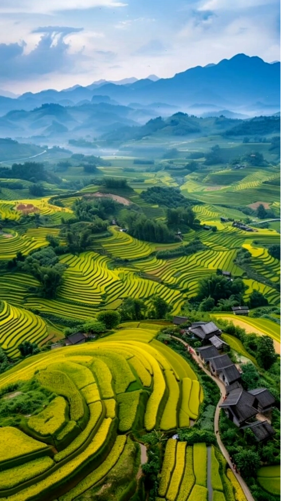 Ruộng bậc thang xanh mướt giữa núi rừng trùng điệp, biểu tượng của vẻ đẹp Việt Nam