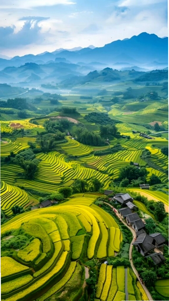 Ruộng bậc thang xanh mướt trải dài trên các sườn núi trùng điệp