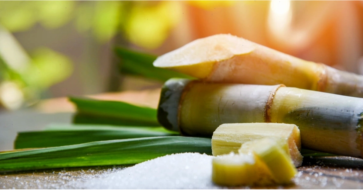 Saccarozơ: Chi tiết lý thuyết và bài tập thực hành