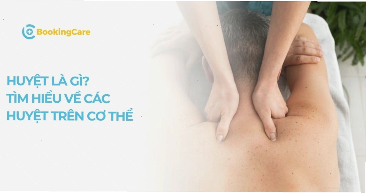 Sơ đồ các huyệt đạo trên cơ thể người