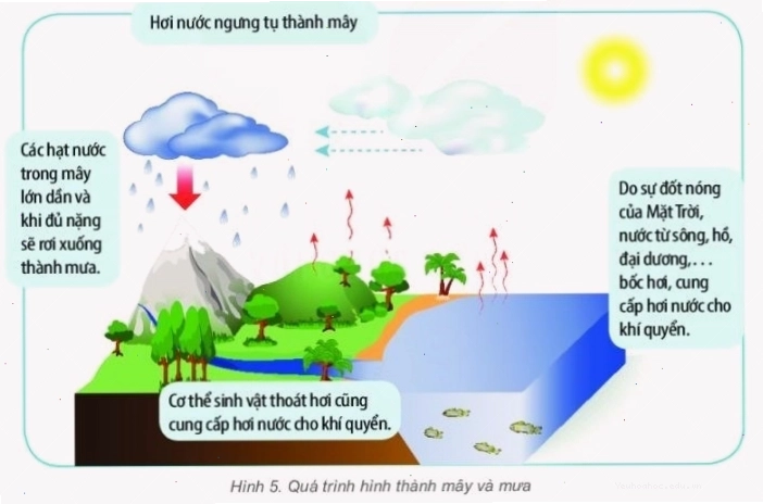 Sơ đồ minh họa quá trình hình thành mưa từ bốc hơi đến rơi xuống đất