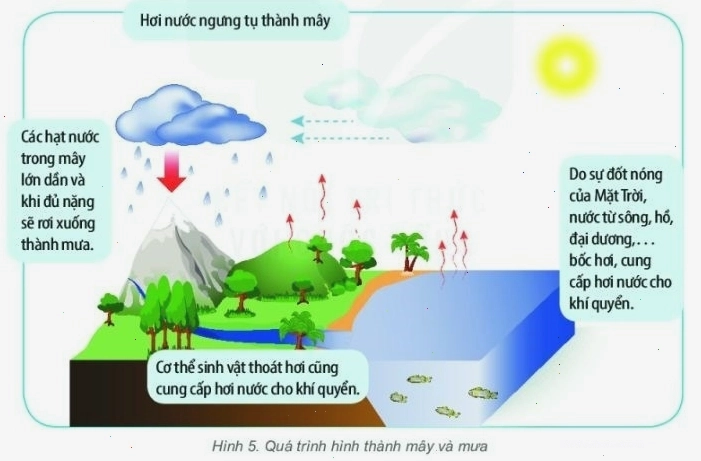Sơ đồ mô tả chu trình hình thành mưa