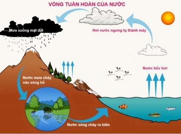Thiết bị đo nhiệt độ và độ ẩm không khí tại trạm khí tượng