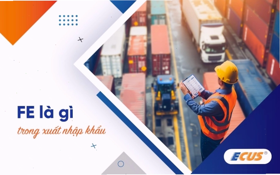 Thuật ngữ FE trong xuất nhập khẩu thể hiện chi phí vận chuyển hàng hóa