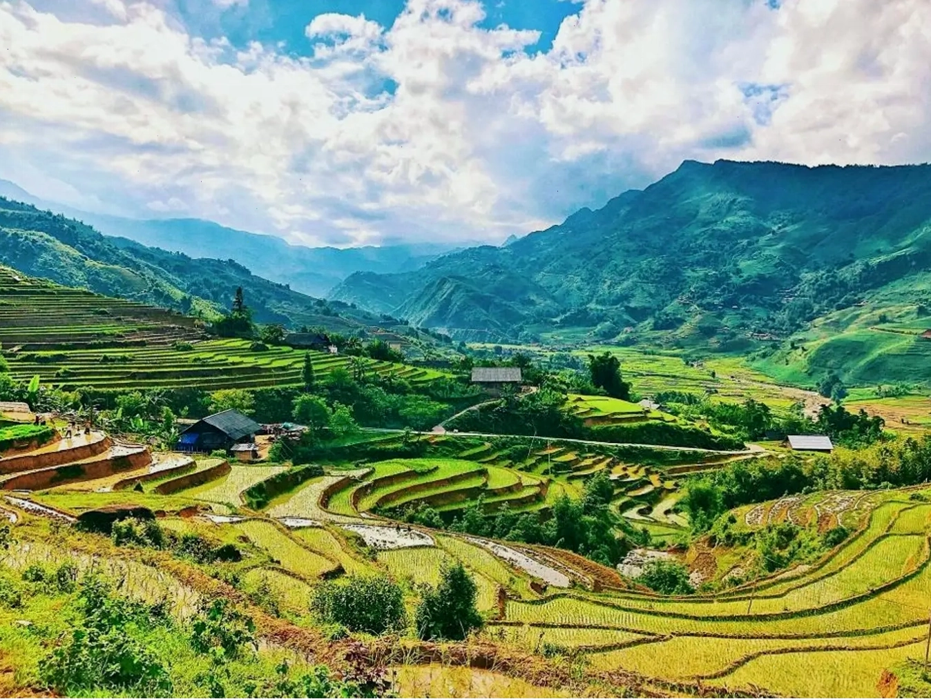 Thung lũng Mường Hoa rực rỡ sắc hoa và cây cỏ xanh tươi