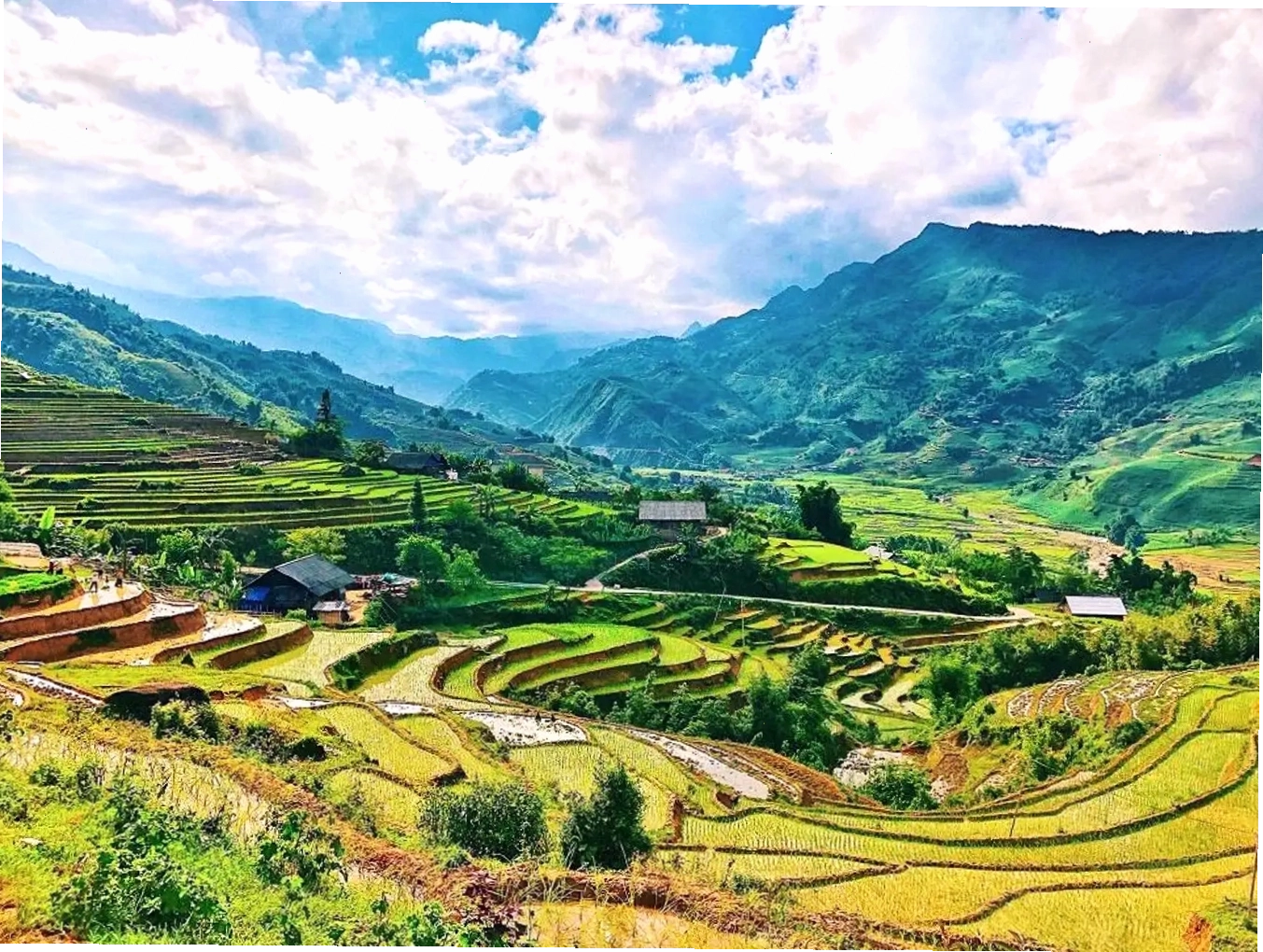 Thung lũng Mường Hoa Sapa ngập tràn sắc hoa và lúa