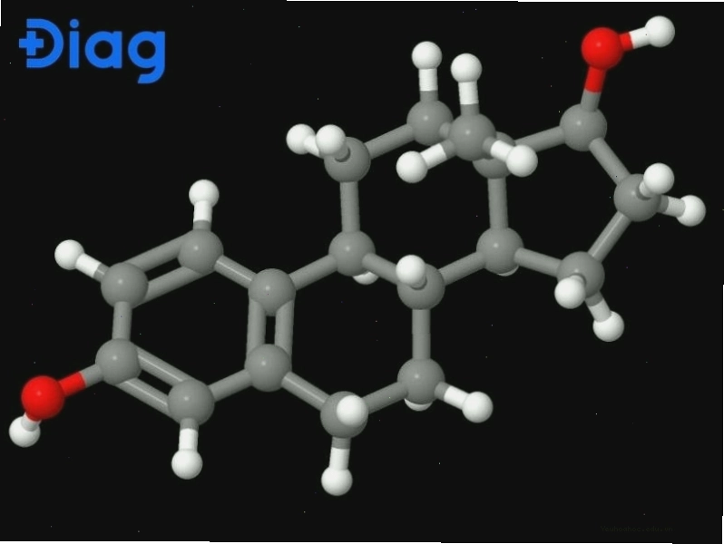 Tìm hiểu lipid là gì trong chương trình Sinh học 10