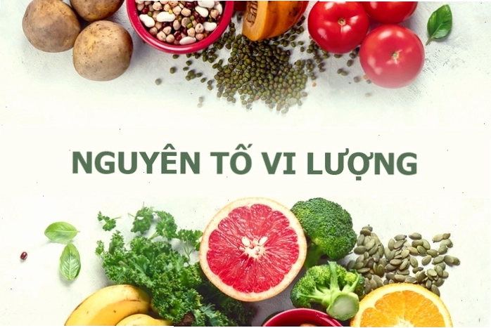 Tổng quan về nguyên tố vi lượng và tầm quan trọng của chúng