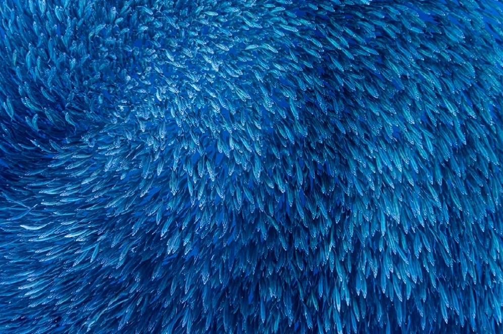 Triển lãm ảnh thiên nhiên - Ảnh 9