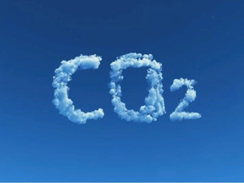 Trồng cây xanh giúp hấp thụ CO2 và bảo vệ môi trường