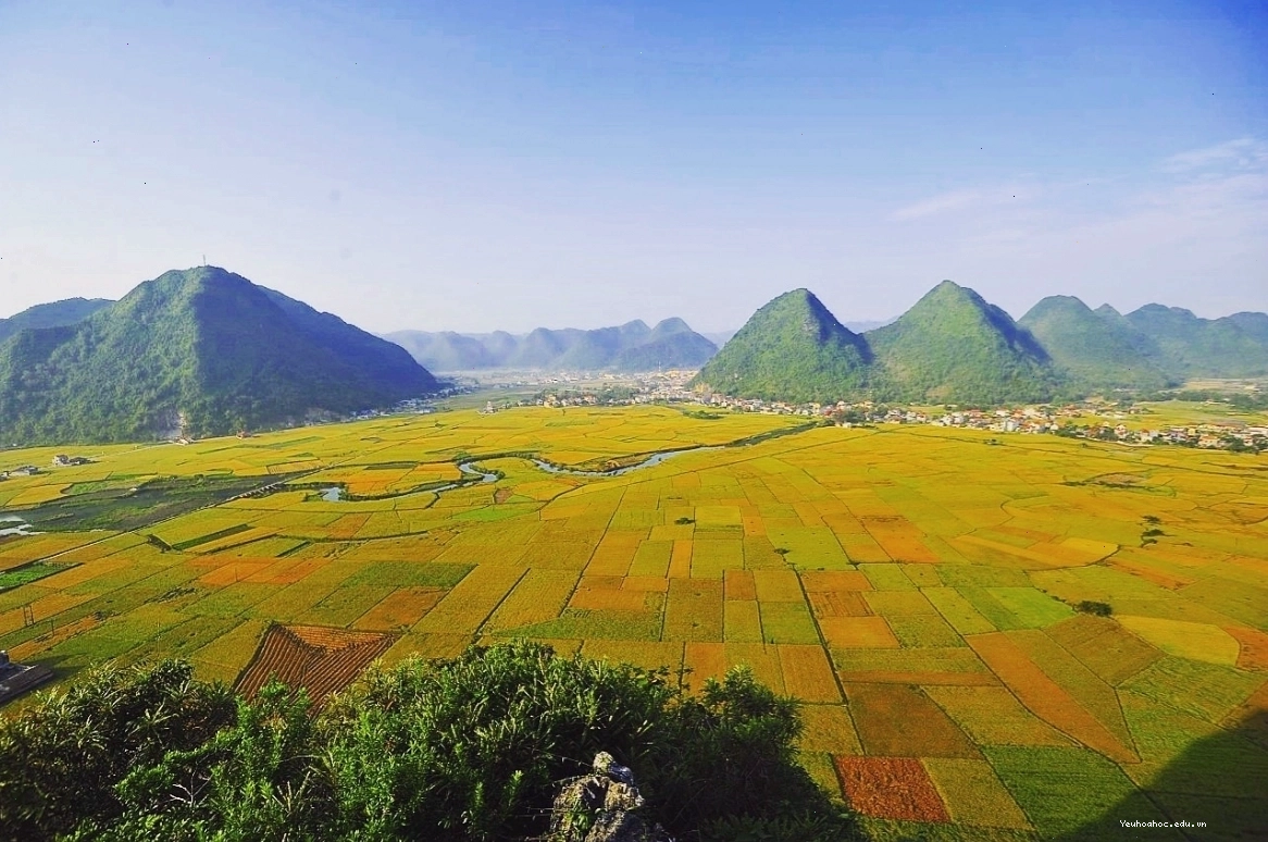Vẻ đẹp hoang sơ của thung lũng Vàng