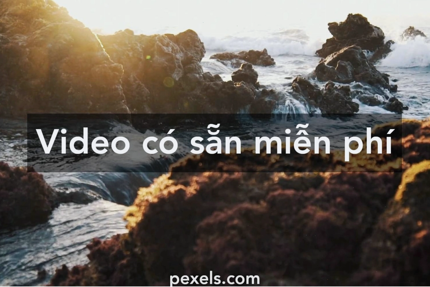 Video cảnh đẹp thiên nhiên Việt Nam có thể tải về miễn phí