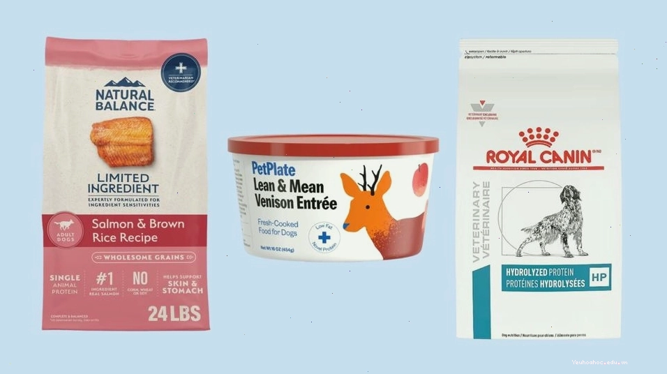 Variety of top dog food brands for allergies