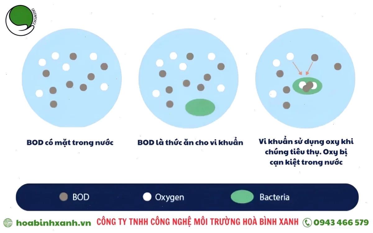 Biểu đồ minh họa tỷ lệ BOD/COD trong đánh giá ô nhiễm nước thải